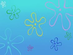 four different colored flowers on a blue background