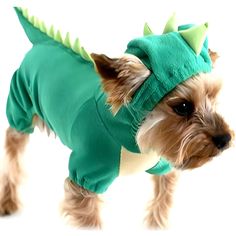 a small dog dressed up in a green dinosaur costume with spikes on its head and tail