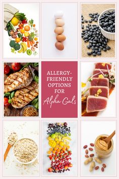 allergy - friendly options for alfalfa cakes and other healthy foods to eat