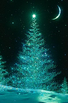 a christmas tree is lit up in the night sky with stars and crescents on it