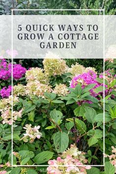 flowers with the words 5 quick ways to grow a cottage garden in front of them