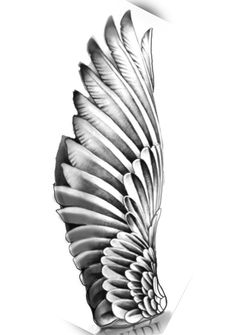 a black and white drawing of a wing