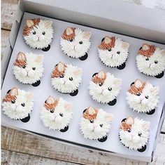 twelve cupcakes in a box with cats on them