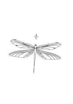 a black and white drawing of a dragonfly sitting on top of it's wings