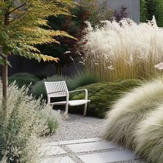 a white bench sitting in the middle of a garden next to tall grass and trees