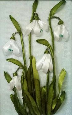 white flowers with green stems in a vase