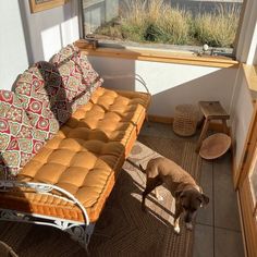 a dog standing next to a couch on top of a rug in front of a window