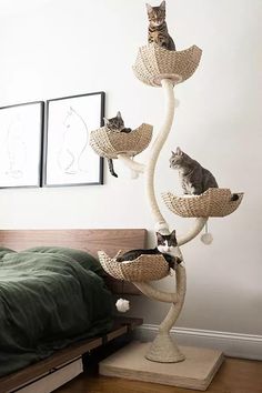 three cats are sitting on top of the cat tree