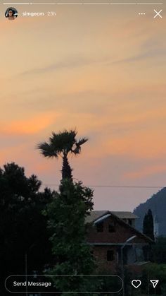 a palm tree is silhouetted against an orange sunset in the background, with mountains and houses behind it