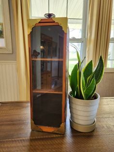 a potted plant sitting on top of a wooden table next to a glass case