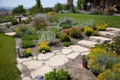 a garden with rocks and flowers in the foreground, near a house on a hill