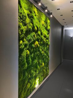 a large green wall in an office building