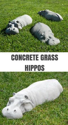 three hippos laying in the grass with text that reads concrete grass hippos