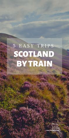 purple flowers on the side of a hill with text overlay that reads 5 easy tips scotland by train