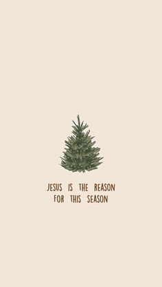 a christmas tree with the words jesus is the reason for this season