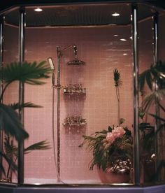 a shower with pink walls and plants in it