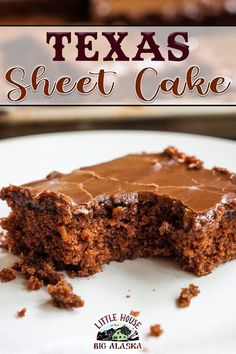 a close up of a piece of cake on a plate with the words texas sheet cake