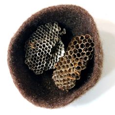 three different types of bees in a brown bowl on a white surface with the top half covered by honeycombs