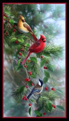 two birds are perched on the branch of a tree with berries and pine cones around them