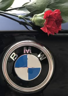 a red flower is sitting on the emblem of a bmw car with its hood ornament