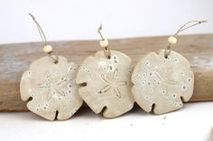 three sand dollar earrings are sitting on a piece of driftwood, one is white and the other is beige