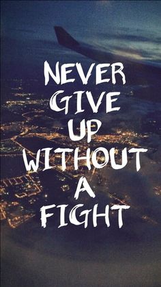 an airplane wing with the words never give up without a flight