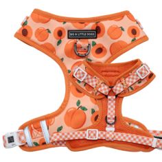 an orange dog harness with pumpkins on it