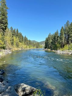 a river running through a forest filled with lots of rocks and trees in the background