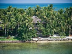 an aerial view of a tropical island with palm trees