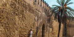 a woman standing next to a stone wall with a palm tree in the background on a sunny day