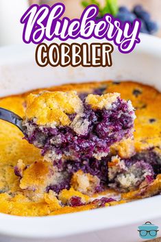 blueberry cobbler in a white casserole dish with a spoon full of it