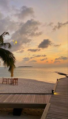 a bench on the beach next to a palm tree and water at sunset with stars in the sky