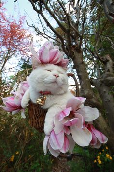 a white cat with pink flowers on its head sitting in a basket hanging from a tree