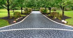 a paved road surrounded by trees and grass