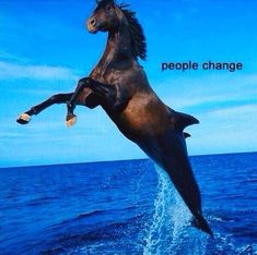 there is a horse that is jumping in the air above the water and it says people change