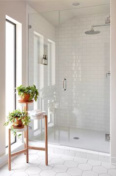 two potted plants sit on top of a stand in front of a glass shower door