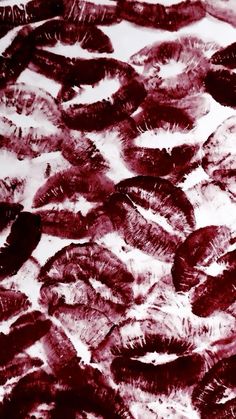 an image of some feathers that are red and black on white paper with words written in it