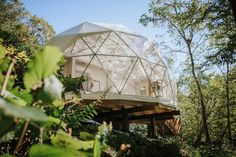 a glass dome house in the woods surrounded by greenery