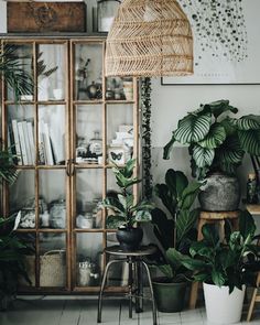 a room filled with lots of potted plants next to a wooden cabinet and chair