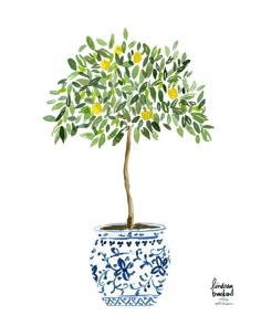 a watercolor painting of a lemon tree in a blue and white pot with leaves