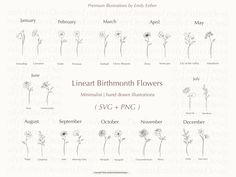 the lineart birth month flowers