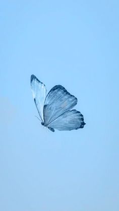 a blue butterfly flying in the sky