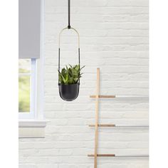 a hanging planter with a succulent in it next to a white brick wall