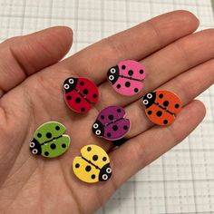 six ladybug magnets in the palm of someone's hand