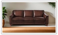 a brown leather couch sitting on top of a rug next to a potted plant