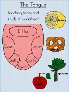 the tongue teaching tools and student worksheet for children to learn their body parts