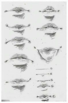 a drawing of different shapes and sizes of the eyes, including one eyelide