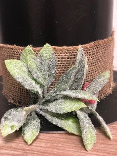 a small green plant sitting on top of a wooden table