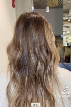 Blonde Balayage Subtle, Blonde Neutral Skin Tone, Light Brunette With Lowlights, Brunette With Light Highlights, Blended Babylights, Light Brown Hair With Blonde Lowlights, Natural Highlights For Dark Blonde Hair, Sandy Beige Balayage, Sand Balayage