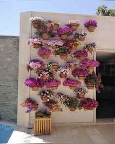 there are many potted flowers on the wall next to the pool and swimming pool